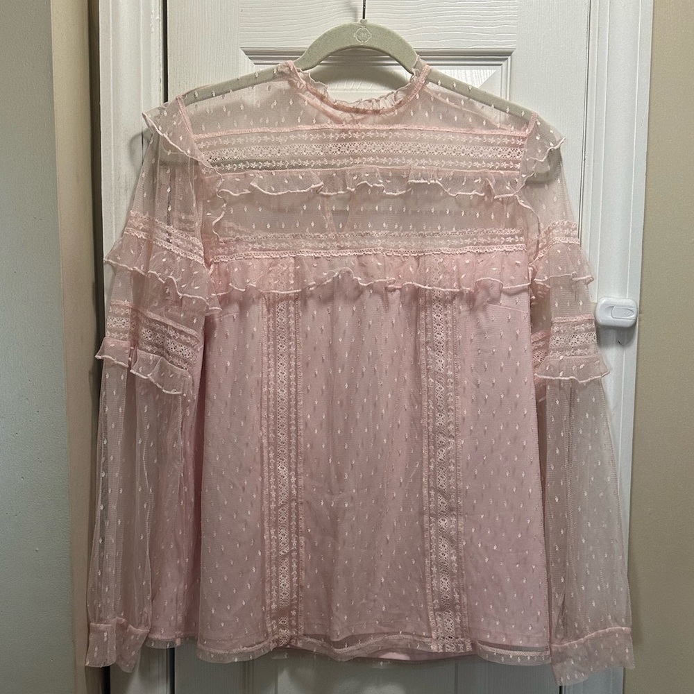 Express Sheer Swiss Dot Top Long Sleeve Pink L